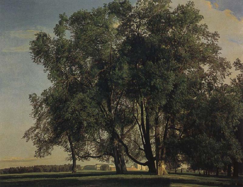 Ferdinand Georg Waldmuller Prater Landscape oil painting image